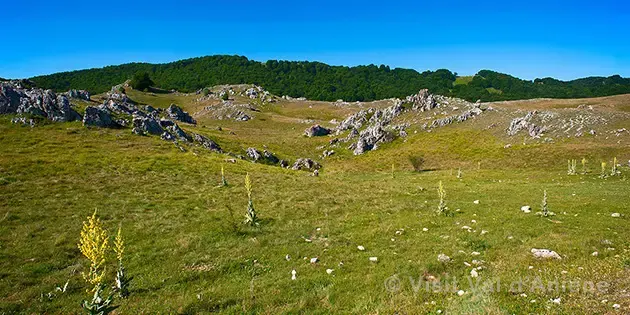 Prato di Camposecco